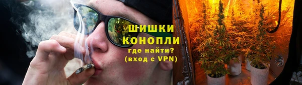 хмурый Арсеньев