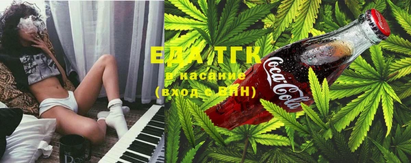 хмурый Арсеньев