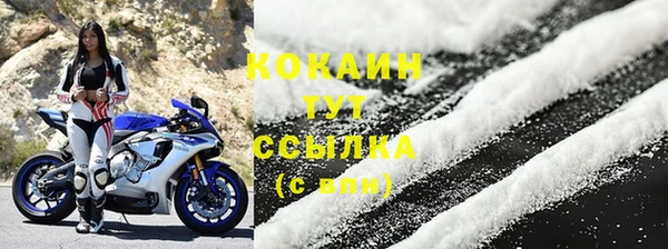 хмурый Арсеньев