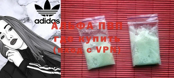 хмурый Арсеньев