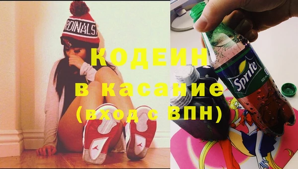 хмурый Арсеньев